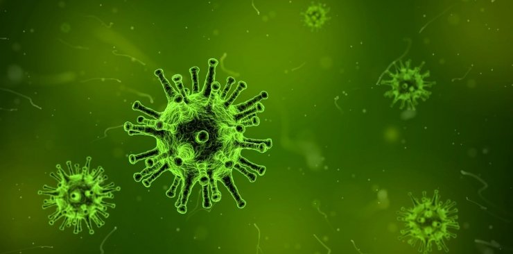 Jakie są różnice między wirusowym zapaleniem wątroby typu A, B i C?